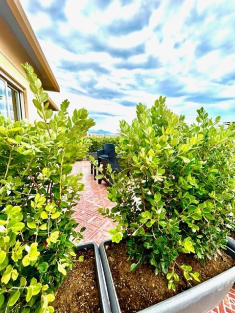 Aqua B&B - Rooms And Apartments Milazzo Exterior foto
